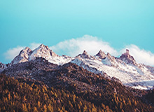 开云平台——引领企业数字化转型的创新之路